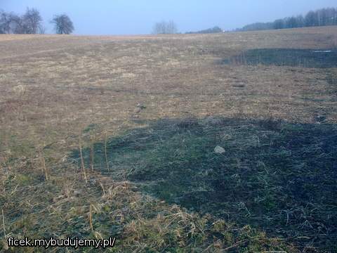 Działka jak to działka kawałek ziemi w sumie 0.1351 ha Znajduje sie w Pielgrzymowicach woj śląskie :)