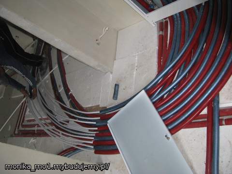 ...a te wszystkie wężyki pełzają do...