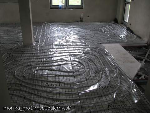 wężyki wesoło pełzające po naszym domu ;) ale nie wchodziły do salonu - tam ma być drewno