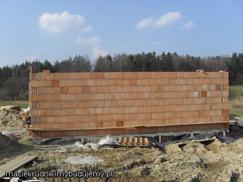 budowa1