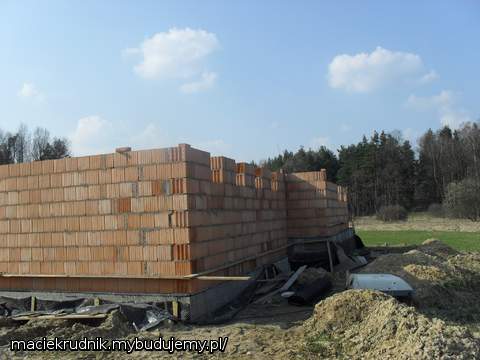 budowa2