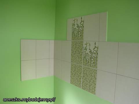 Kuchnia..... troszkę zielona :-)))