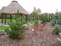 zagospodarowanie części ogrodu