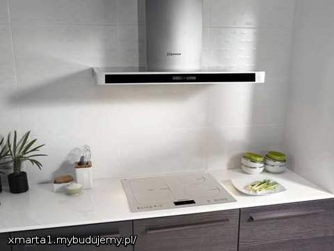 A czy ktoś użytkuje może już taką płytę?