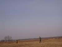 Wytyczanie domu przez geodetów. Jeszcze pusta działka.