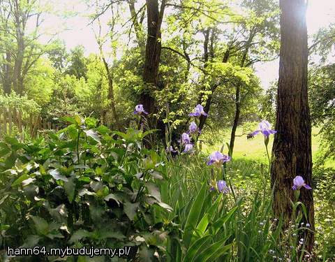 Chyba po poddaszu zajmę się trochę 