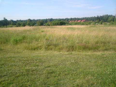 widok z płd. na płn.