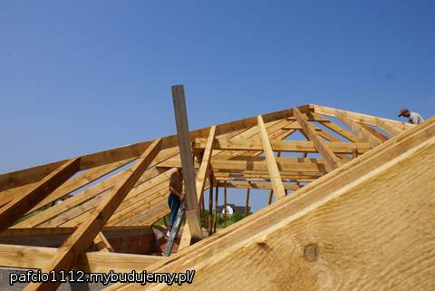 zaczyna być widoczny w okolicy