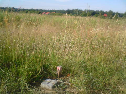 widok płd/zach. słupka granicznego