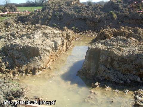 Po kilku dniach... Masakra !!!