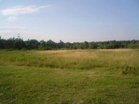 widok w kierunku płn/zach